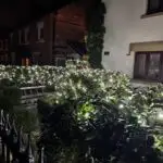 LED Net Lights