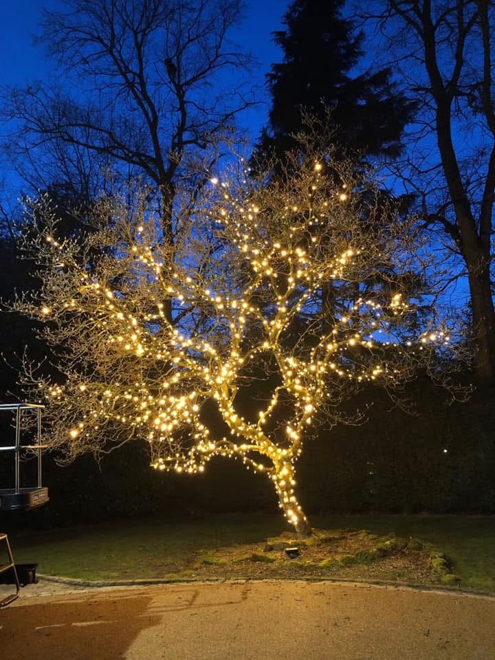 LED String Lights Warm White Twinkling 10m | Lights 4 You Image 4
