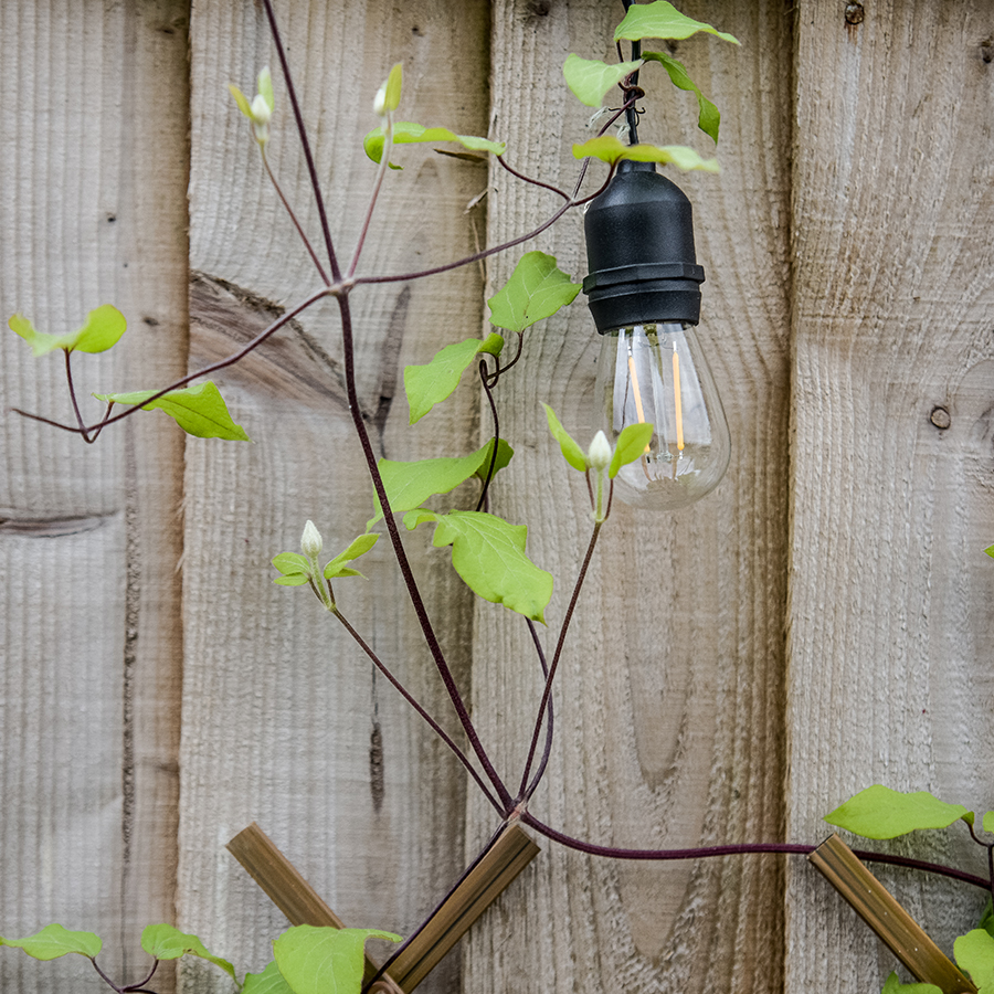 Festoon Lights