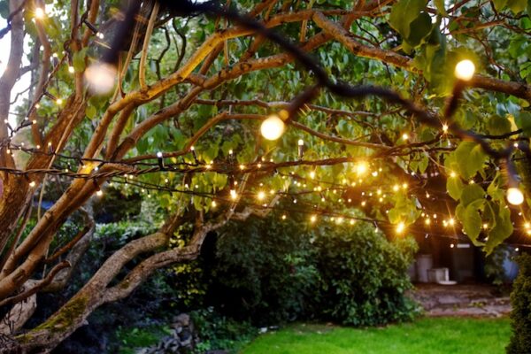 LED String Lights – Warm White Static, 10m