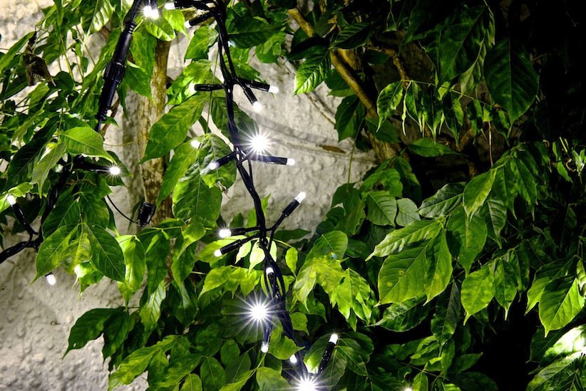 LED Cluster Lights – Ice White Twinkling, 2 5m Image 3