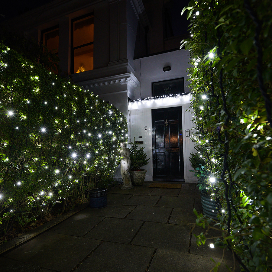 Christmas Lights