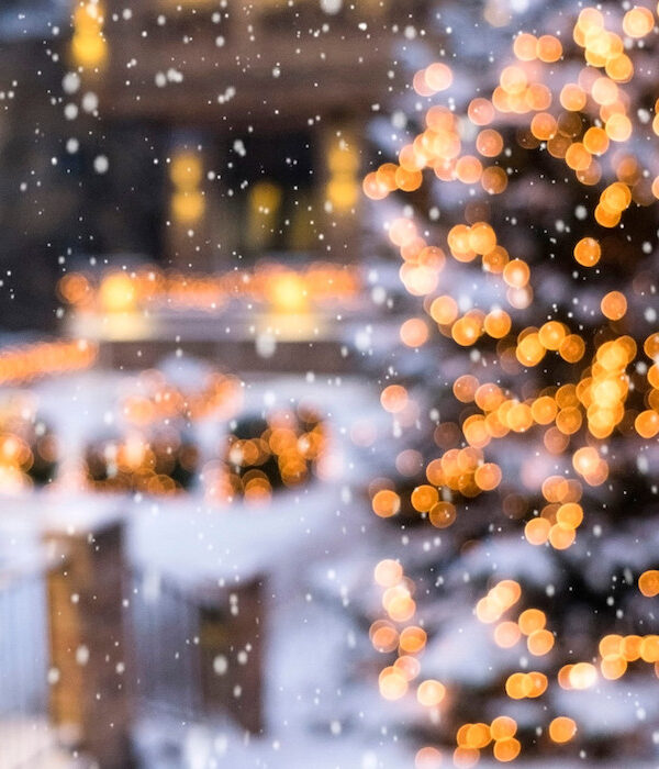 Outdoor Christmas Light Display
